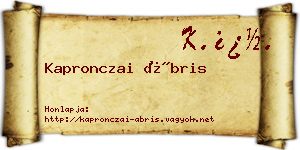 Kapronczai Ábris névjegykártya