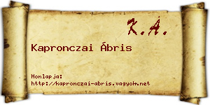 Kapronczai Ábris névjegykártya
